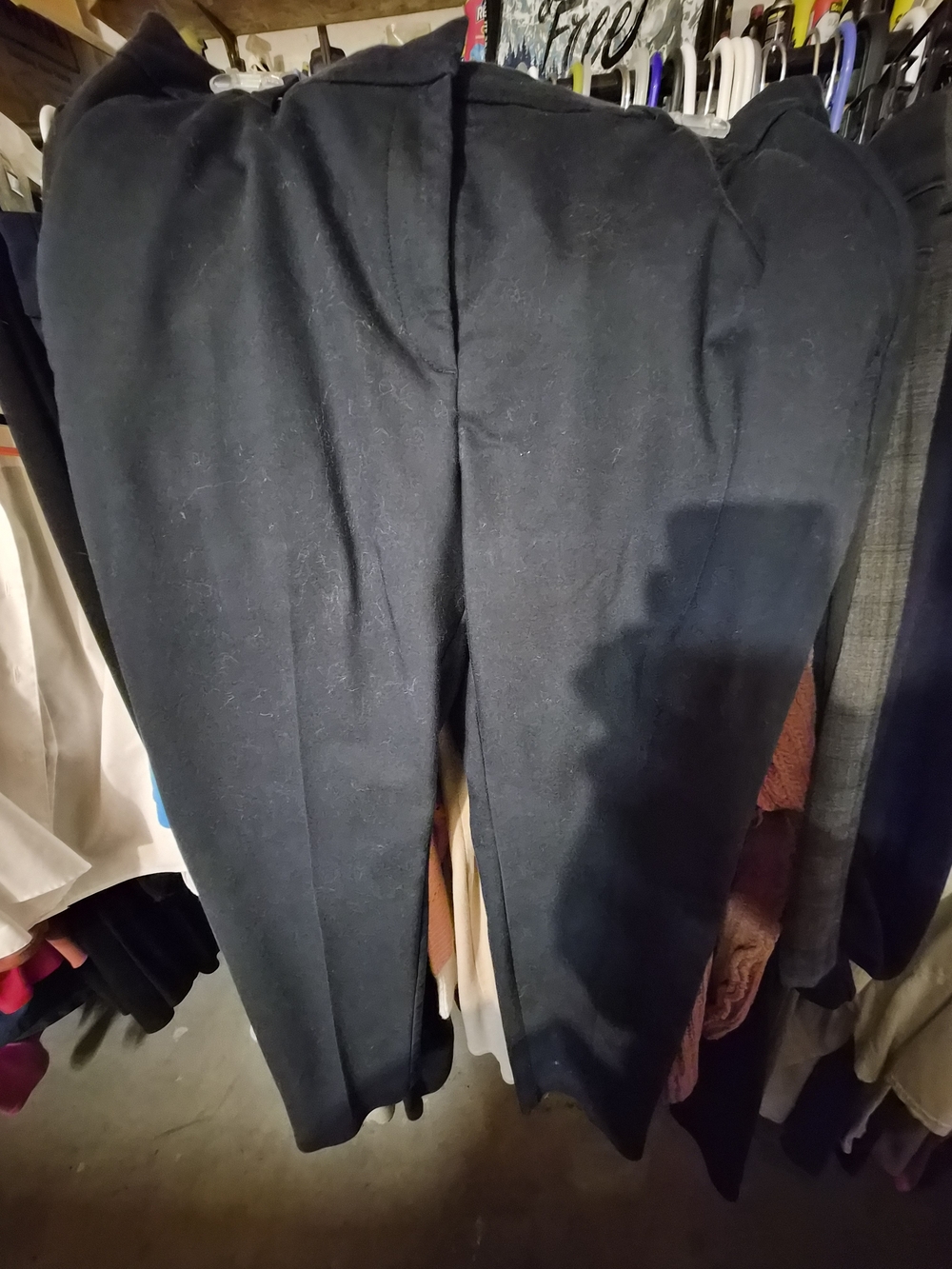 Dress Pants